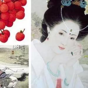 《长安荔枝》票房狂飙5亿！春节国产片“破5”新纪录