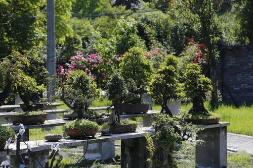 《燕云十六声“你怎么又来了”成就解锁秘籍》