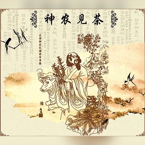 《真三国无双：起源》CJ独家爆料！新内容抢先看