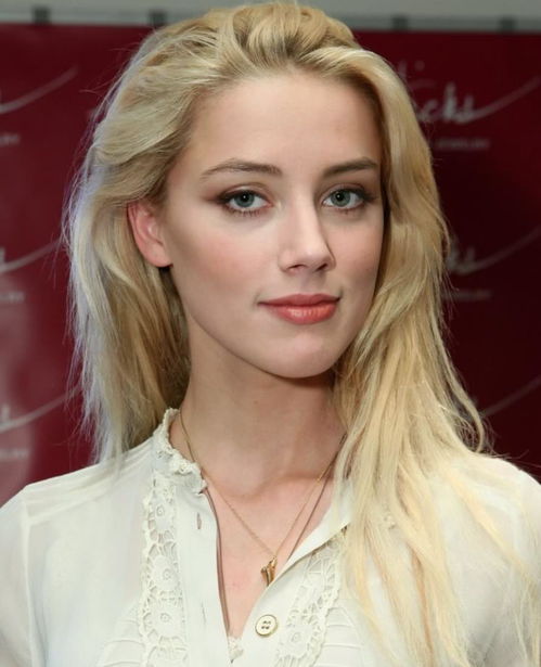 艾梅柏·希尔德婚姻悲剧：哭泣背后的秘密