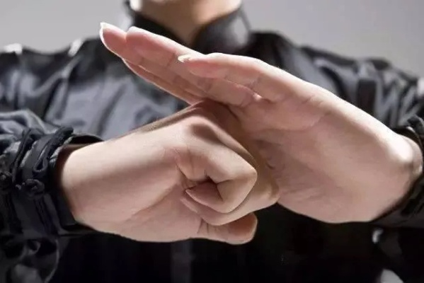 《渊虚之羽抱拳秘籍：轻松解锁独特动作》