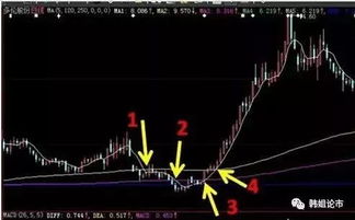 SCUM免费管理工具实操攻略：轻松上手，高效管理！