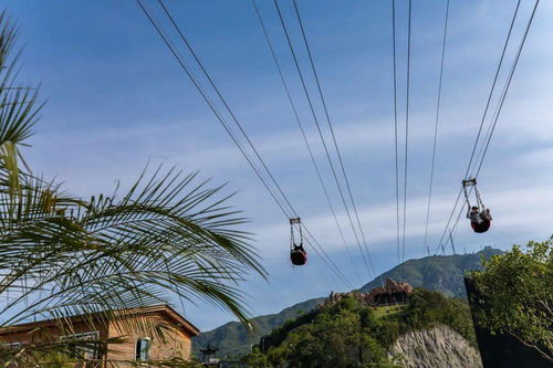 《云顶城吊桥放下攻略：明末渊虚之羽两法揭秘》