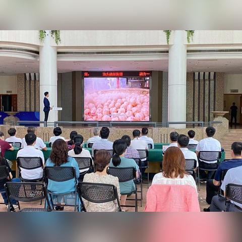 《四海兄弟：故乡》深度揭秘：独家解析游戏新亮点