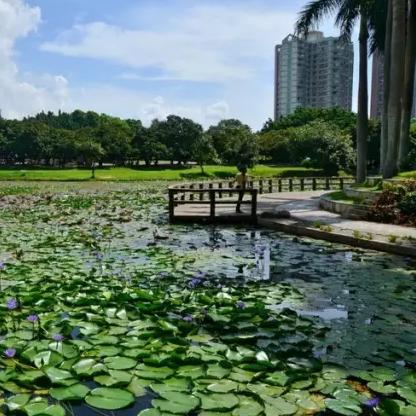 《四海兄弟：故乡》50美元畅玩，海量内容等你来体验