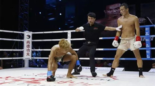 《WWE幕后追踪》揭秘：揭秘真相还是老调重弹？