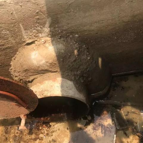 《COD21第五赛季预告+PS Plus 8月阵容大公开》