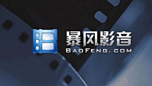 王自如再遭执行风暴：246万债务压顶