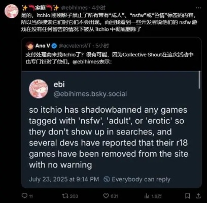 R18游戏遭下架风波：开发者呼吁公平透明处理