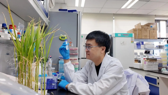 《中国科学家破译水杨酸合成密码，教科书新篇章！》