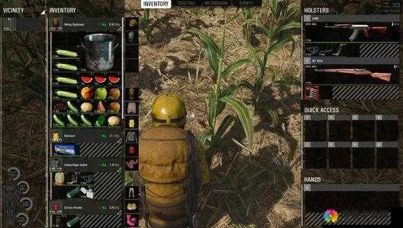 SCUM蔬菜瓜果种植攻略：种植技巧全解析