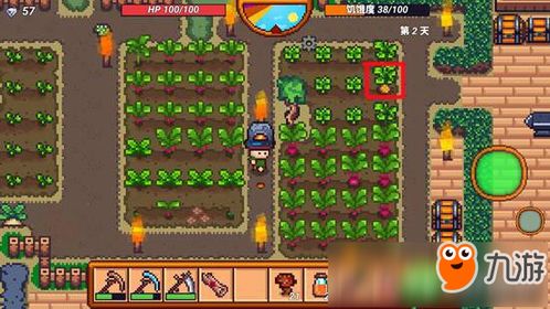 SCUM蔬菜奇效揭秘：如何提升生存技能？