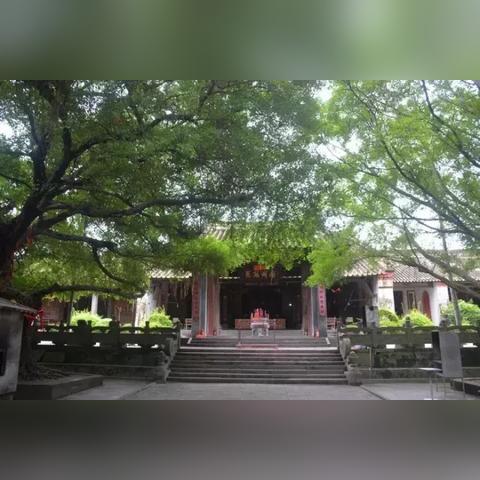 《美女助力，轻松解锁！揭秘《成仙》飘仙结局攻略》