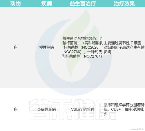 SCUM训练营揭秘：隐藏位置与关键作用全解析