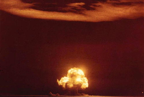 《辐射》惊现现实！核弹工厂惊遇神秘黄蜂巢