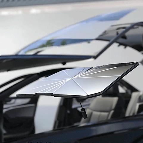 《辐射惊魂！美发现超10倍辐射黄蜂巢，官方却称安全？》