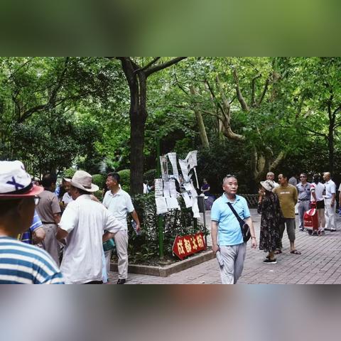 洛丽塔穿搭引争议：豪华酒店经理直言歧视，揭秘事件真相