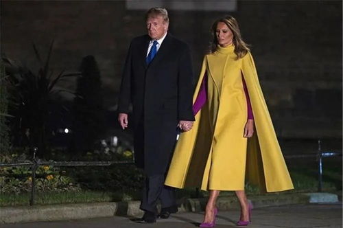 《我的世界紫颂花：隐藏用途大揭秘！》