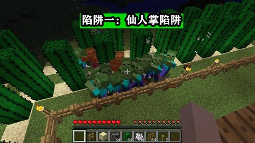《Minecraft仙人掌种植攻略：快速上手指南》