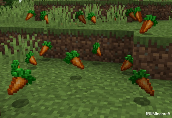 《Minecraft轻松挖取：胡萝卜获取攻略》