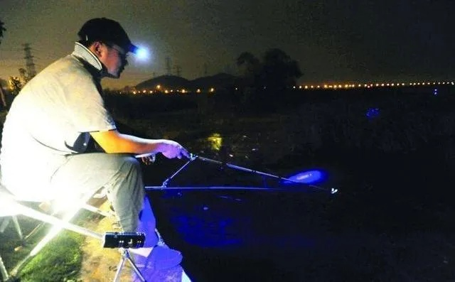 汉江惊现神秘巨物！夜钓者捕捉惊悚瞬间