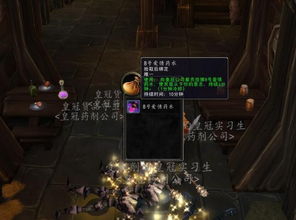 《魔兽世界2025免费升级至XX级攻略一览》