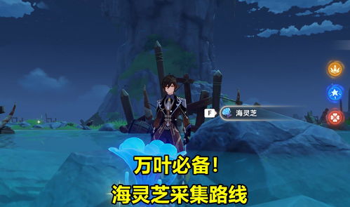 原神伊涅芙突破材料盘点：必备资源一览