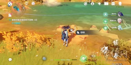 《原神遥遥同旅第二关攻略：高效通关秘籍》