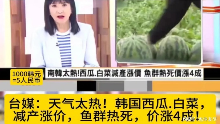 《韩农惊！西瓜173元/个，白菜32元/颗，价格飙升》