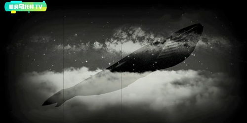 汉江神秘生物疑现，官方回应：巡逻中或为视觉错觉