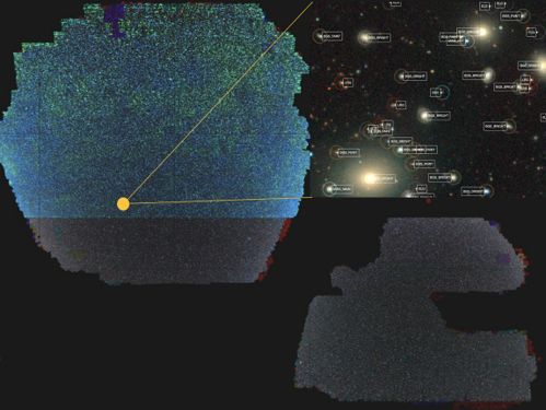 汉江神秘生物疑现，官方回应：巡逻中或为视觉错觉