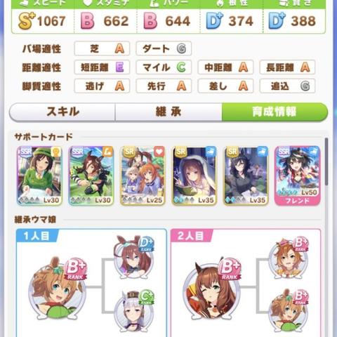 《赛马娘》养成乐无边，粉丝竟痴迷真赛马？揭秘！