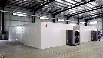 SCUM装备快速烘干攻略:高效方法大揭秘 SCUM装备快速烘干攻略:高效方法大揭秘