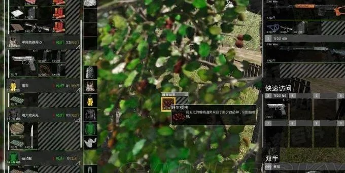 SCUM森林城堡位置揭秘！高效物资获取攻略