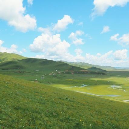 川西自驾奇遇：土拨鼠盗钥匙，众人挖洞苦寻1小时！