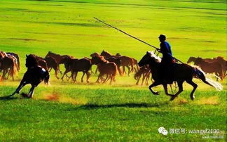 《四海兄弟：故乡》新预告曝光！与妹子共骑骏马畅游江湖