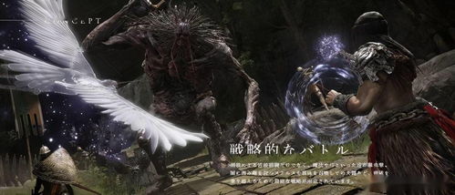 《艾尔登法环》永夜之王黑夜雾霾卡莉果新卡曝光！