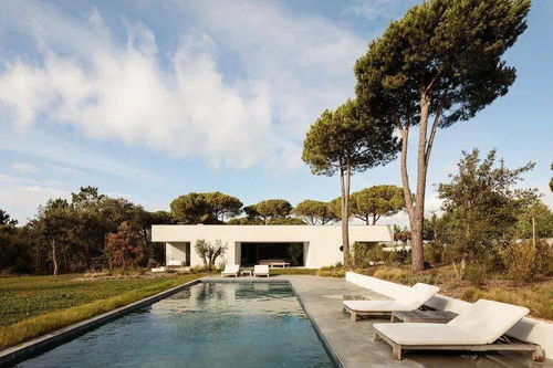 《原神炫音爆光全攻略！高效通关秘籍大公开》