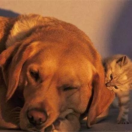 宇宙寿命倒数：200亿年后大揭秘，倒计时仅剩100亿年！