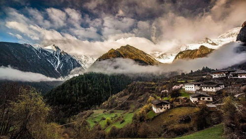 《燕云十六声丰禾村攻略：万事知清河村全解析》