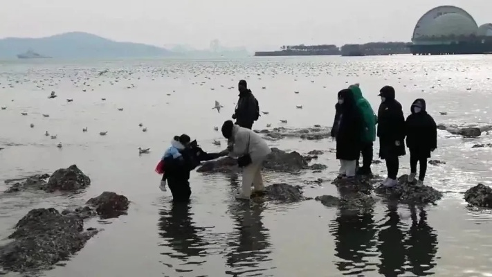 青岛海螺大爆发，潜水员3小时轻松赚3500！