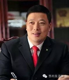 00后江苏首富之子成世界500强副总裁兼A股董事！