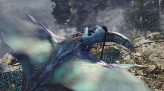 《神秘蓝肉惊现加州！阿凡达野猪之谜》