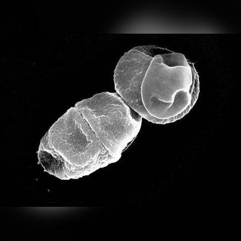 多重人生攻略：揭秘逃离太阳的神秘路径