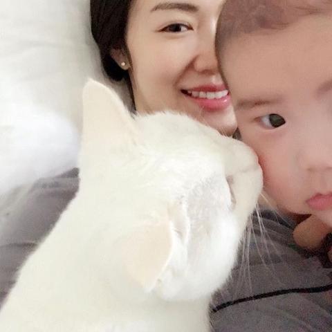 《丹麦动物园求援：宠物弃养？快来喂野兽吧！》