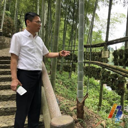 《多重人生攻略：基地连接秘籍大揭秘》