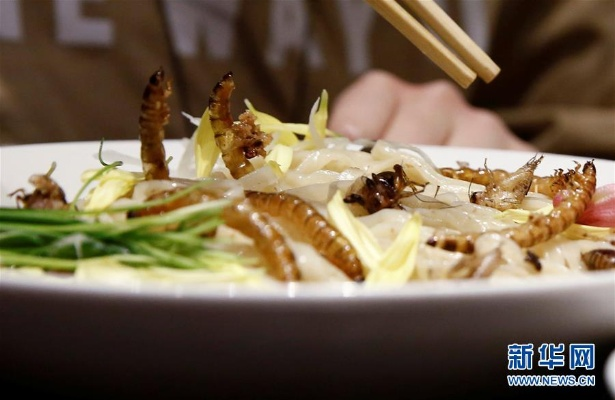 韩国餐厅惊曝：高档料理竟用蚂蚁调味！揭秘昆虫食材新潮流