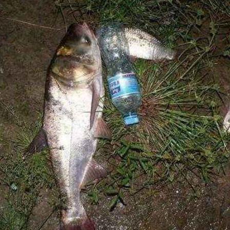 《揭秘！为何这款衣服两边开口？手感胜过一切》