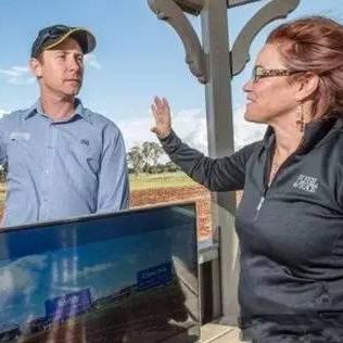 《宝可梦×麦当劳狂欢，食物浪费引热议！》