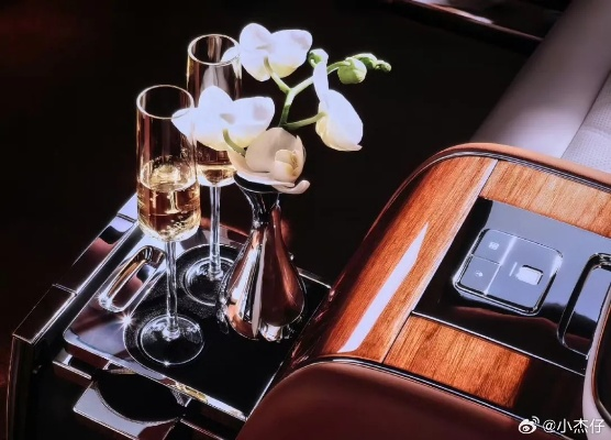 尊界S800副驾驶豪华升级：茶歇鱼缸与绿植共舞